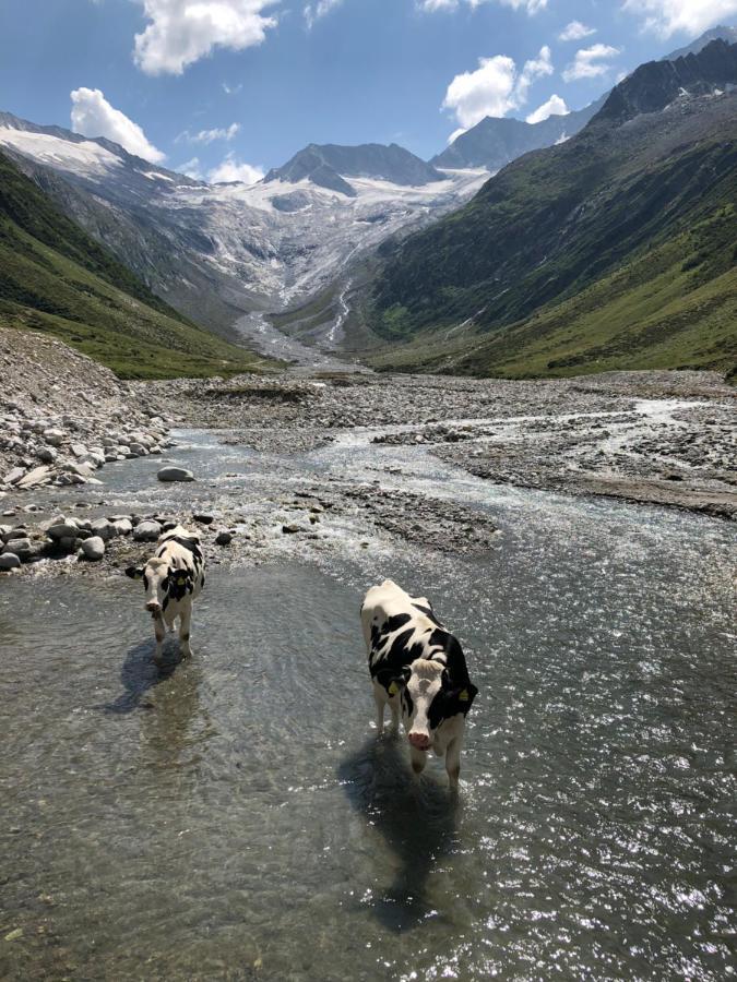 Landhaus Zillertal รามเซา เอม ซิลเลอร์ทาล ภายนอก รูปภาพ