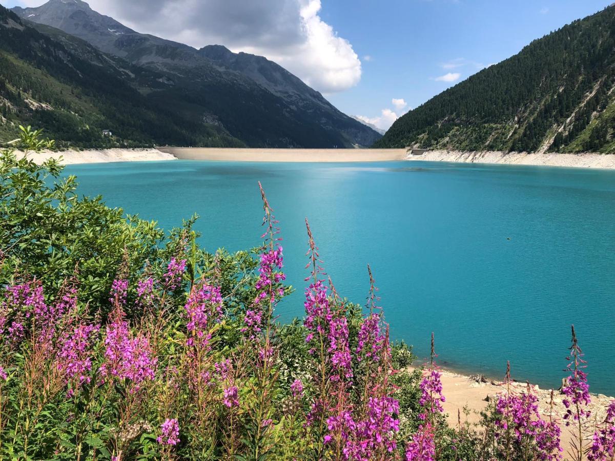 Landhaus Zillertal รามเซา เอม ซิลเลอร์ทาล ภายนอก รูปภาพ