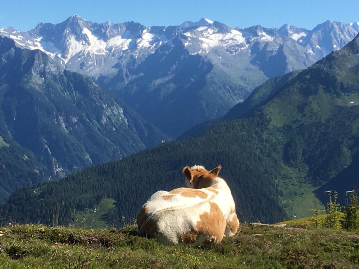 Landhaus Zillertal รามเซา เอม ซิลเลอร์ทาล ภายนอก รูปภาพ