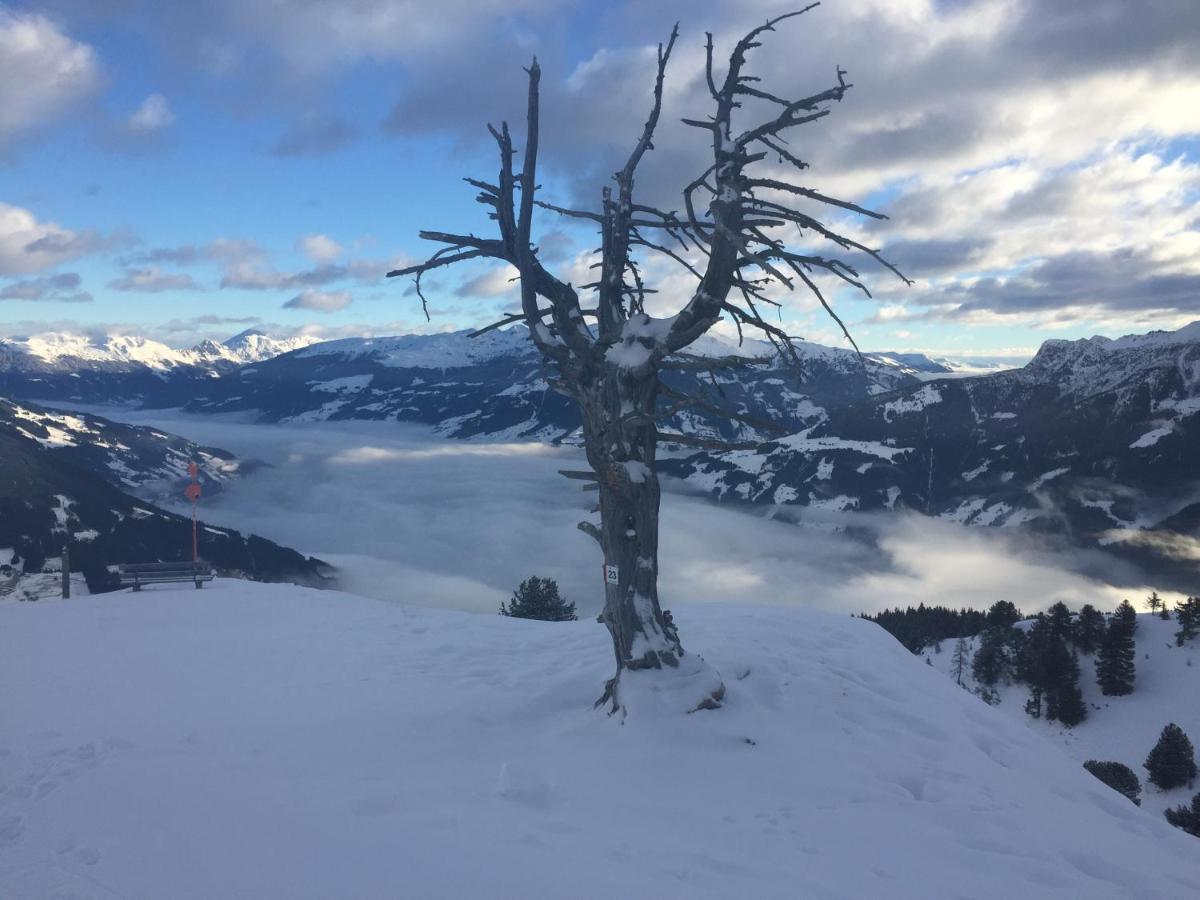 Landhaus Zillertal รามเซา เอม ซิลเลอร์ทาล ภายนอก รูปภาพ